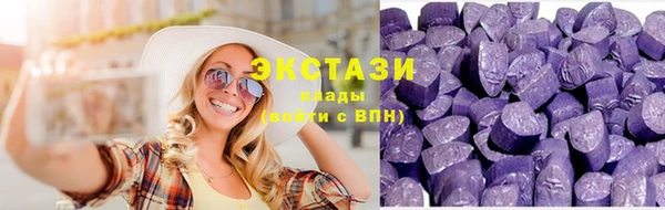 стаф Вяземский