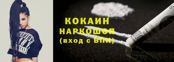 шишки Горняк