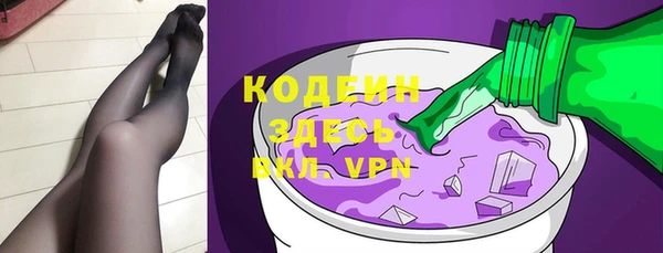 стаф Вяземский