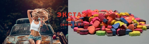 шишки Горняк