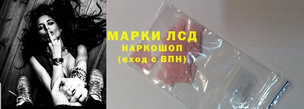 шишки Горняк