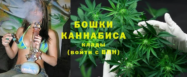 шишки Горняк