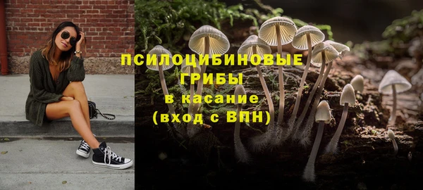 шишки Горняк
