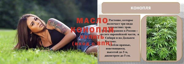 стаф Вяземский