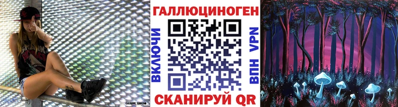 дарнет шоп  Ершов  Галлюциногенные грибы GOLDEN TEACHER 